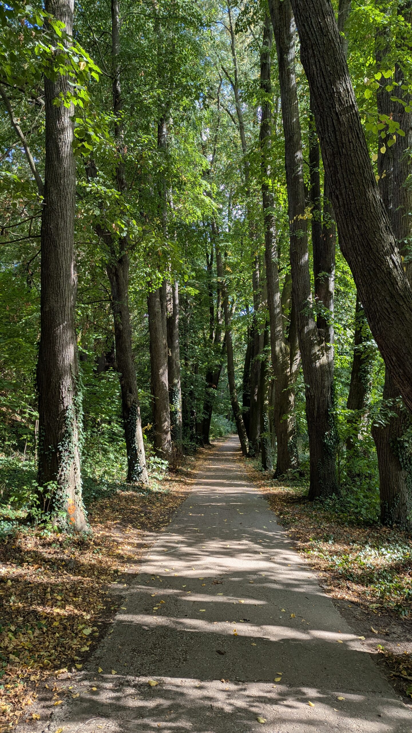 PXL_20250913_125356128