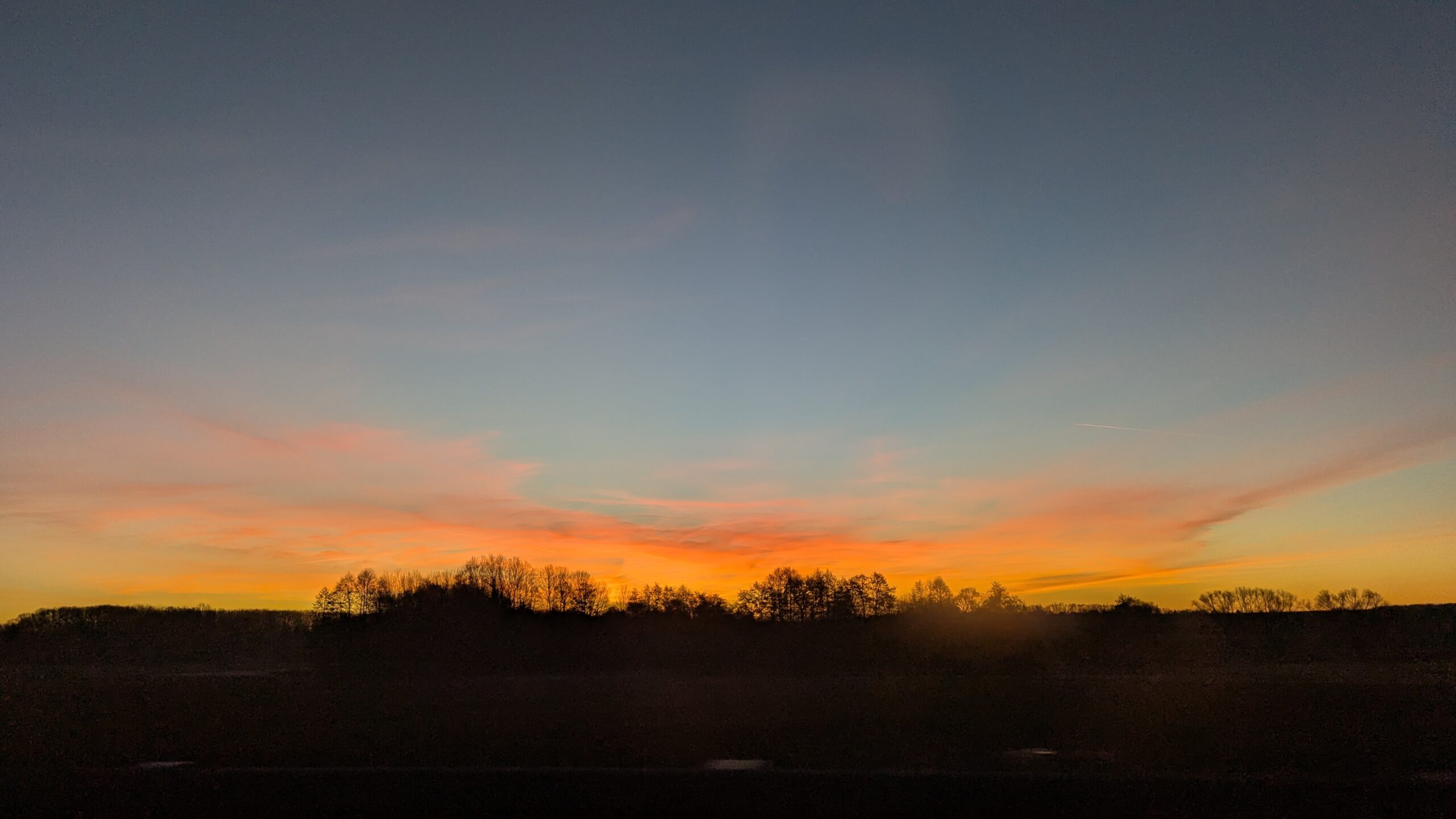 PXL_20251215_064050211