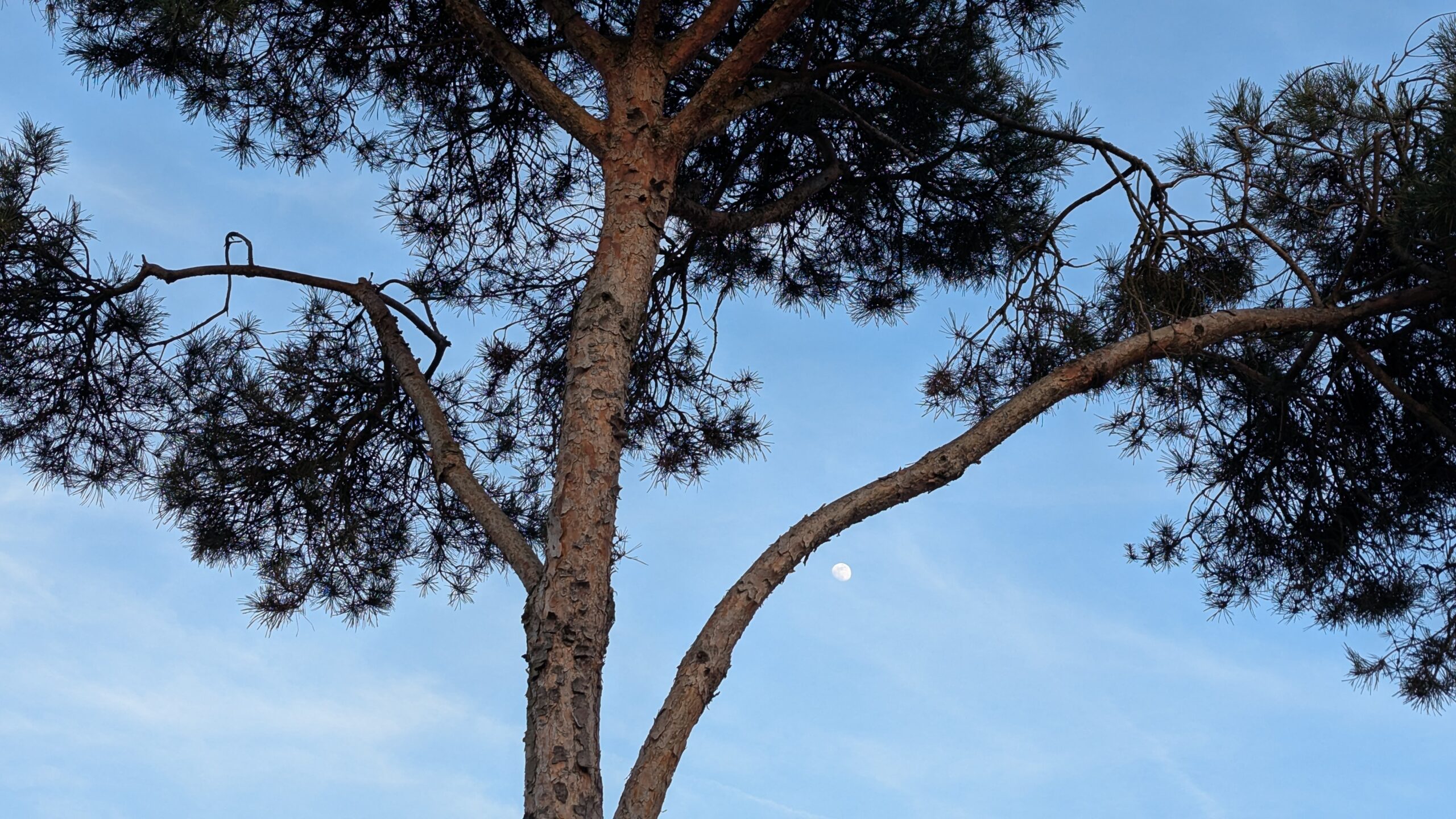 PXL_20260228_161427390