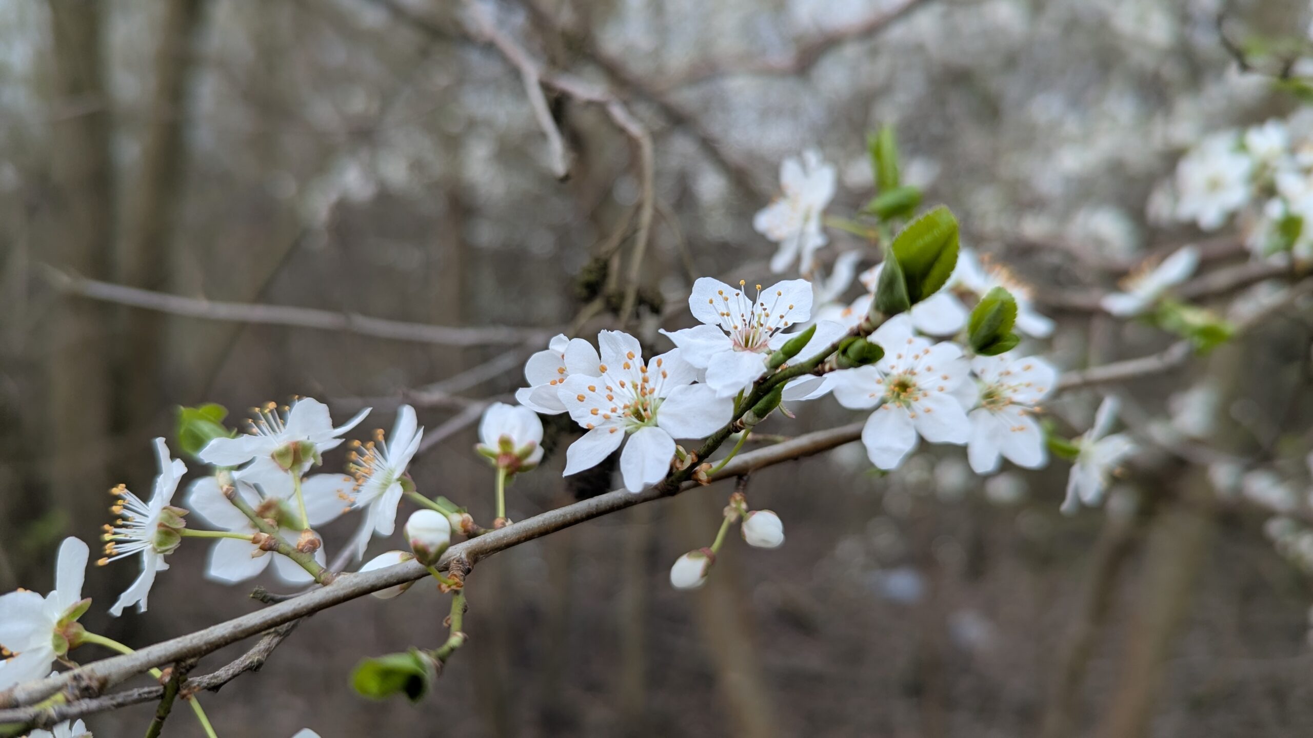 PXL_20260325_065848000