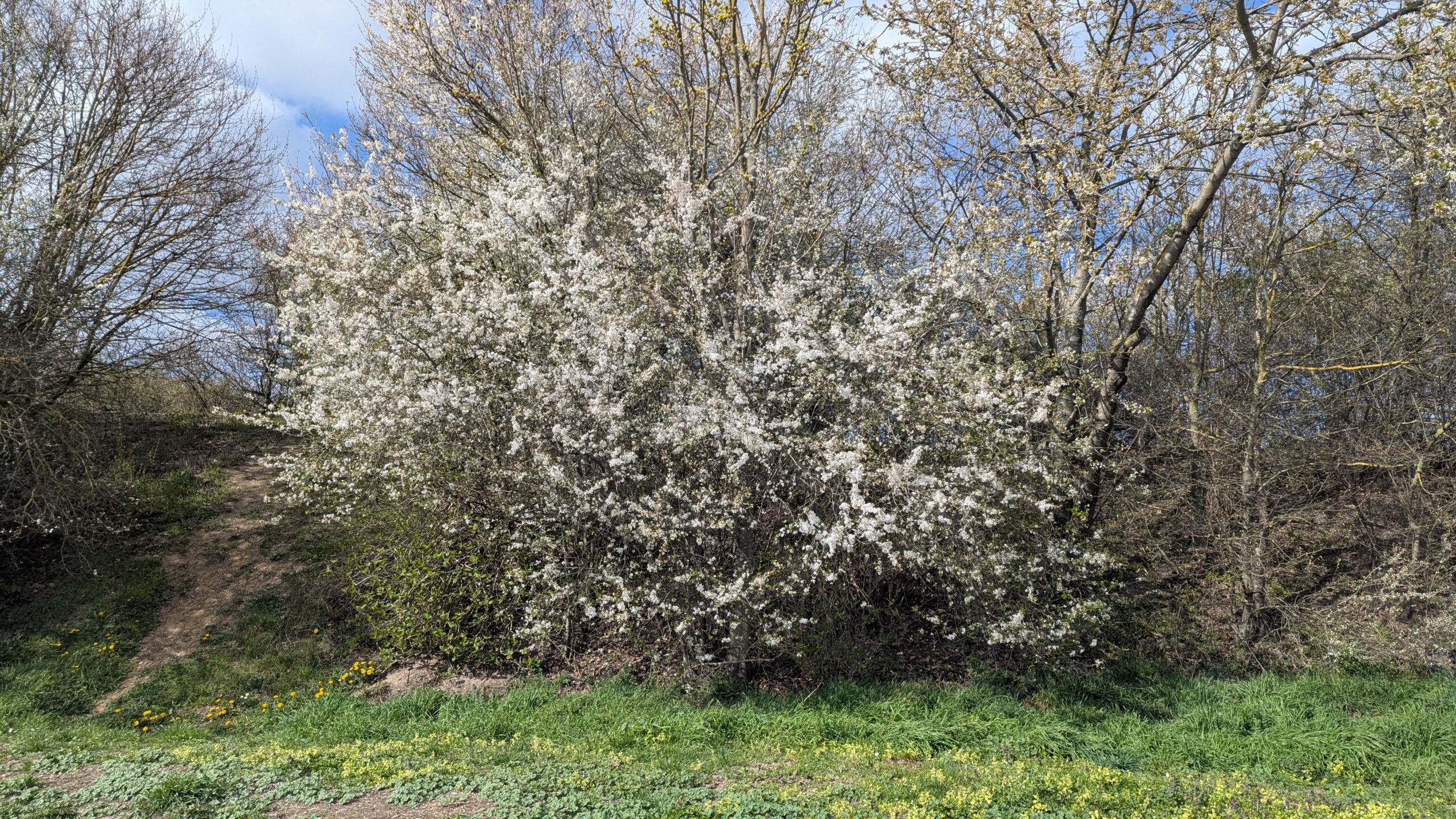 PXL_20260327_133607924