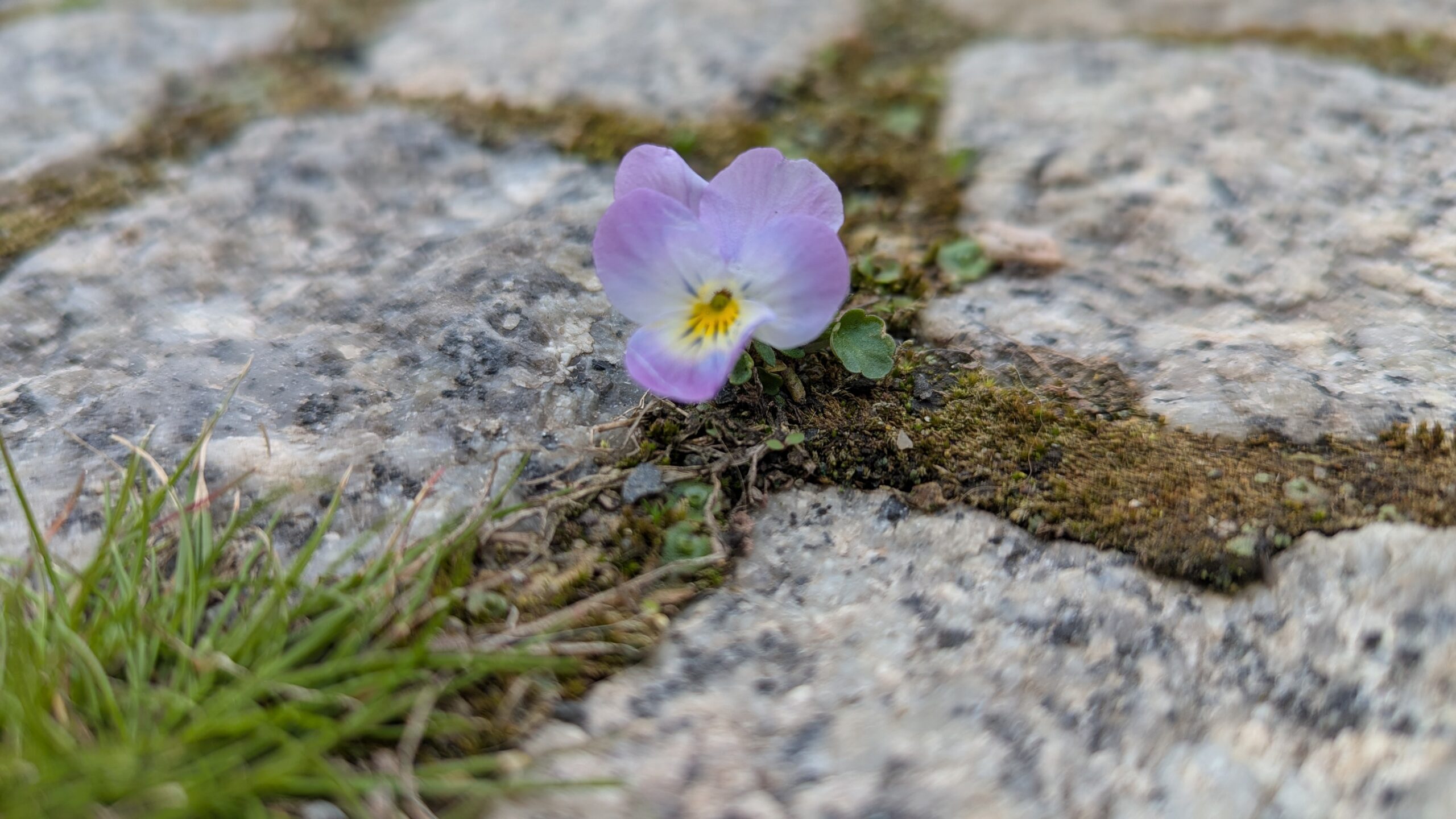 PXL_20260405_140953670