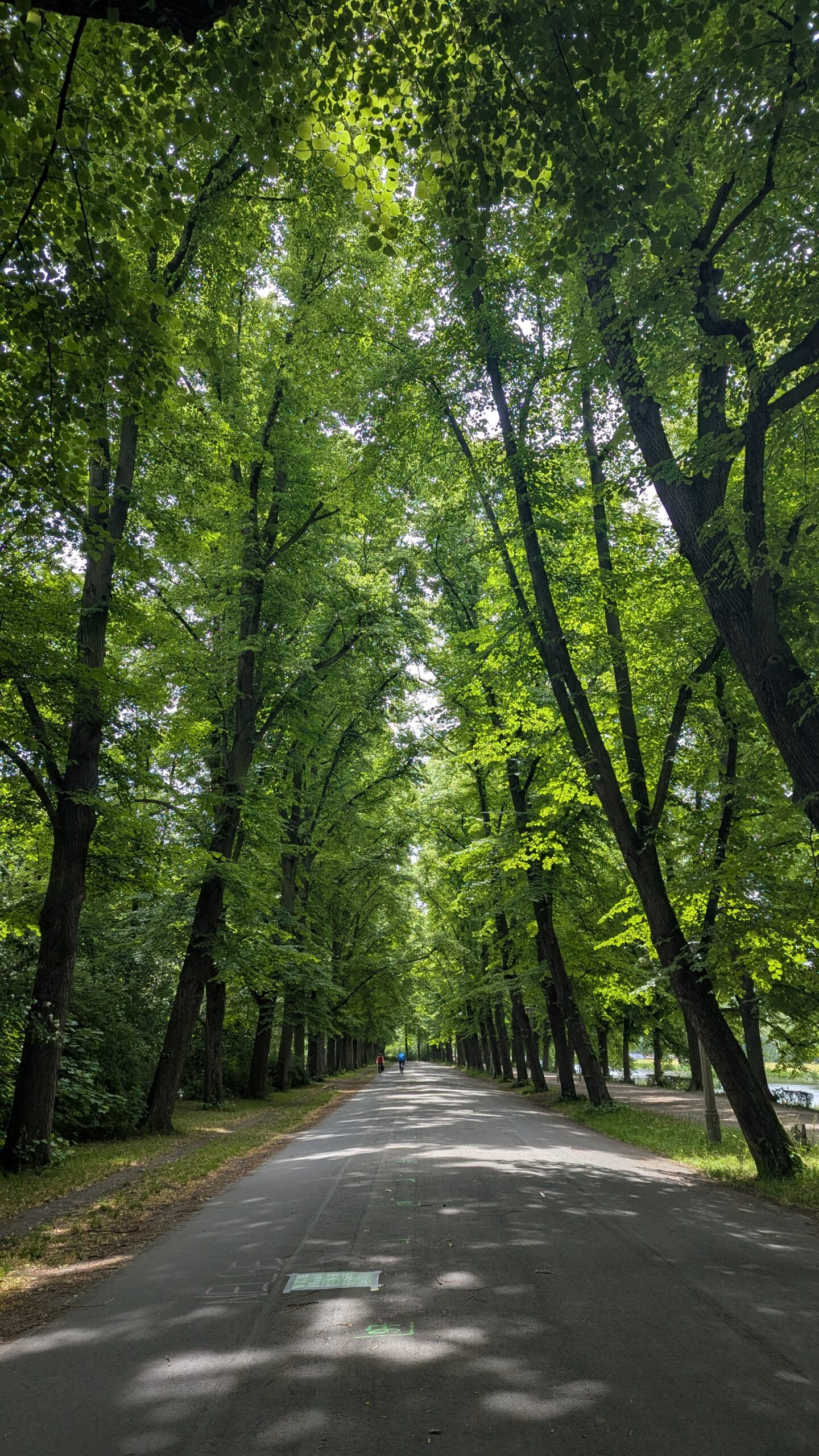 PXL_20260616_103226517